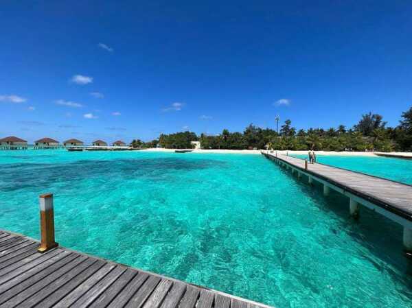 WhatsApp_Image_2024-06-03_at_15_46_40